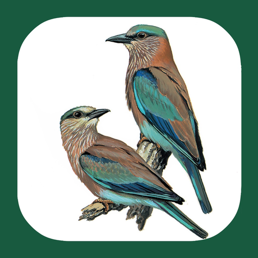 Birds of Western Palearctic app icon