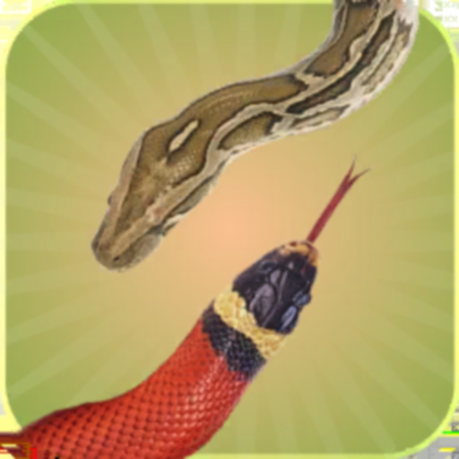 Snake Touch: Dual Battle app icon