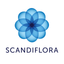 Scandiflora icon