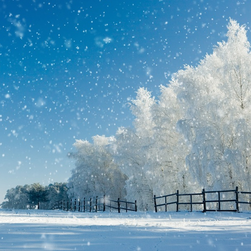 Winter Wonderlаnd app icon