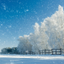 Winter Wonderlаnd icon