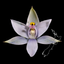 NZ Orchid Key icon