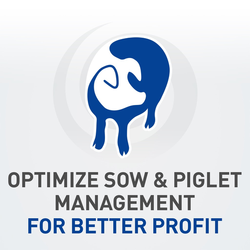 Program Neonate for swine app icon