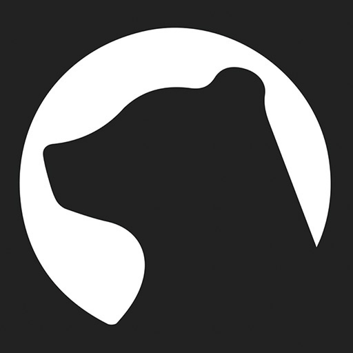 Dovi Rhein - ArtPhotography app icon