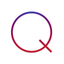 GSS Quality Audit icon