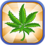 Weed Business - Drug Farm Tycoon icon
