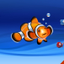 Aquarium live HD TV icon