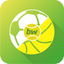 BetsWall: Sports Betting Tips icon
