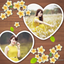 Chụp Ảnh Hàn Quốc - Ghép Hình Đẹp - Chụp Ảnh Nghệ Thuật icon