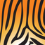 Asset Tiger icon