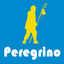 Peregrino Online icon