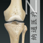 EZ Guide Knee icon