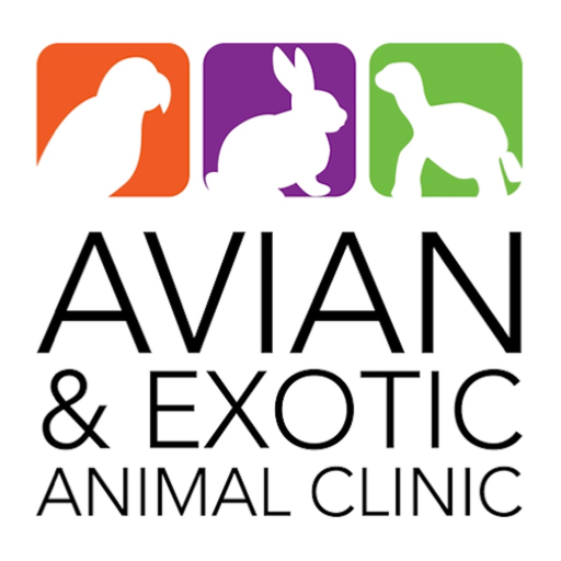 AvianExotic app icon