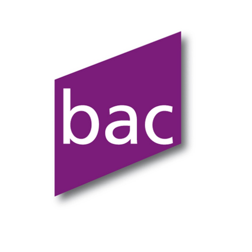 Boyer Audit app icon