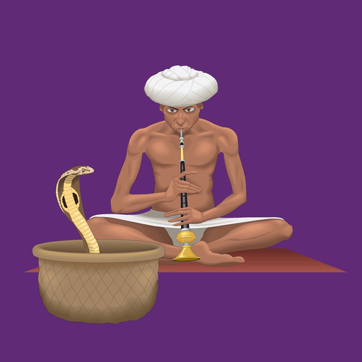 Spice N Rice Indian Takeaway app icon