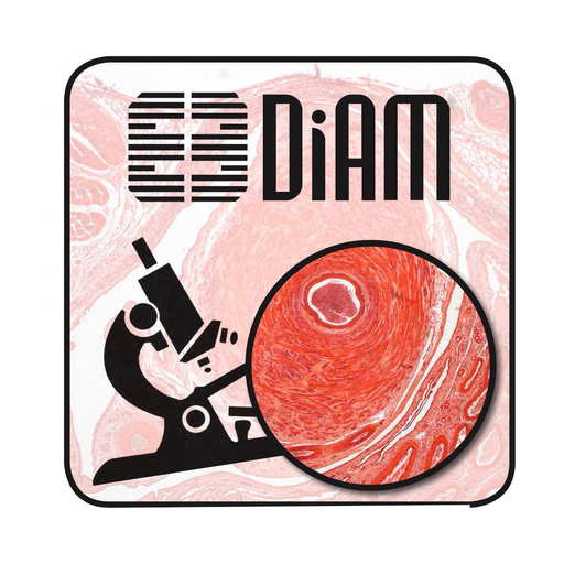 Diagnosi di Anatomia Microscopica app icon