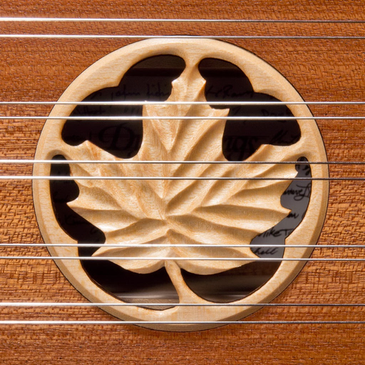 Dusty Strings D550 Dulcimer app icon