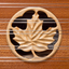 Dusty Strings D550 Dulcimer icon