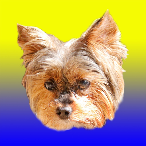 Mo Moments app icon