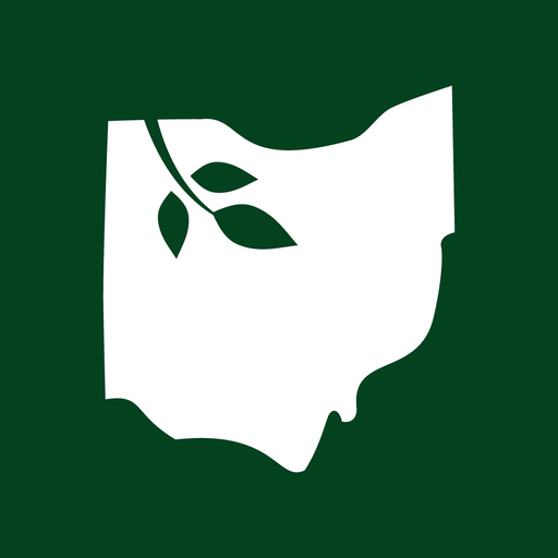 Bank419 app icon