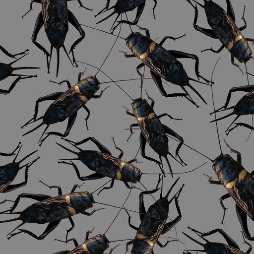 Cricket Sounds! app icon