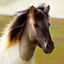 Horse Soundboard icon