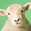 Sheep Sounds icon