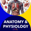 Anatomy & Physiology 22 topics icon