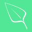Ivy: Stats Tracker icon