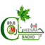 Cheenar Radio icon