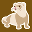 Ferret Calendar icon