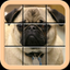 Tiles Slide icon
