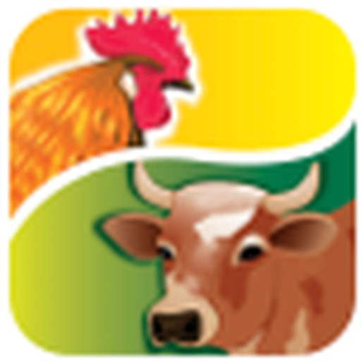 PAAI app icon