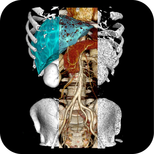 VR Body Guide app icon