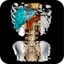 VR Body Guide icon