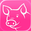 Count The Pigs icon