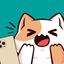 Selfie Cat icon