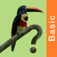 Costa Rica Birds Basic icon