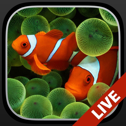 Aquarium Dynamic Wallpapers+ app icon