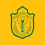 DPS Nagpur icon
