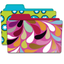 Colorful Folders-Desktop icon icon