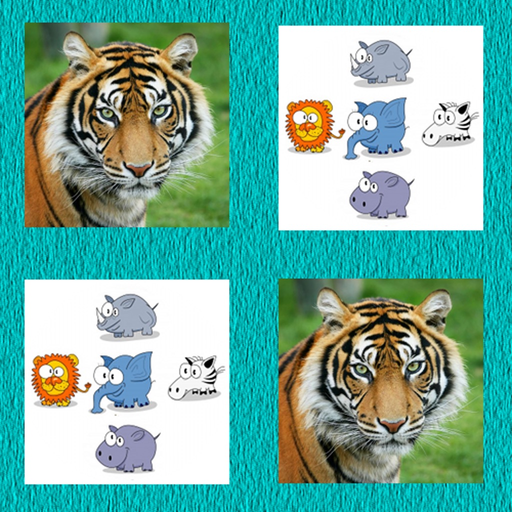 Photo Recollect - Polish your Brain app icon