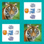 Photo Recollect - Polish your Brain icon