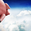 Oinks In Space icon