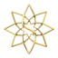 The Star icon