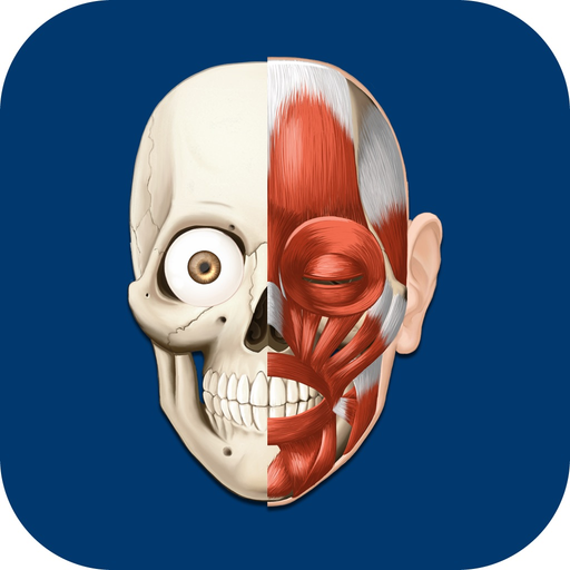 HiDoctor Atlas de Anatomia do Corpo Humano app icon