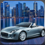 City Car Driving - Traffic icon