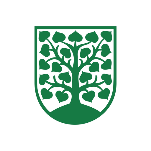 Homburg/Saar app icon