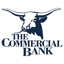 TCB Mason Mobile Banking icon
