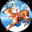 Shoot Kill Deer Winter icon